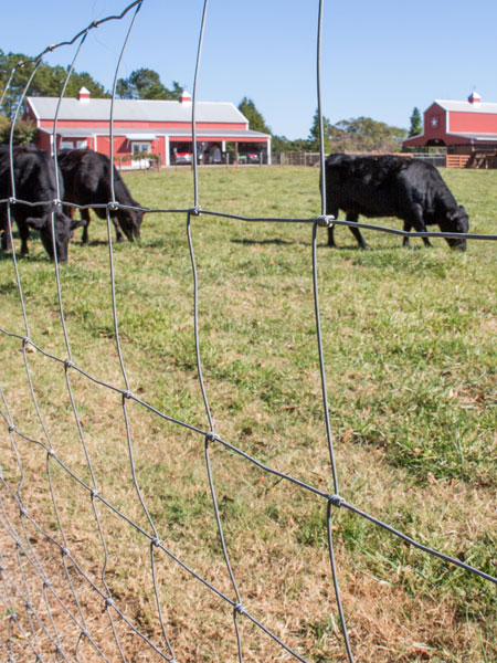 farm fence