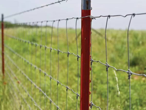 A line of fixed knot fence is installed with T posts.