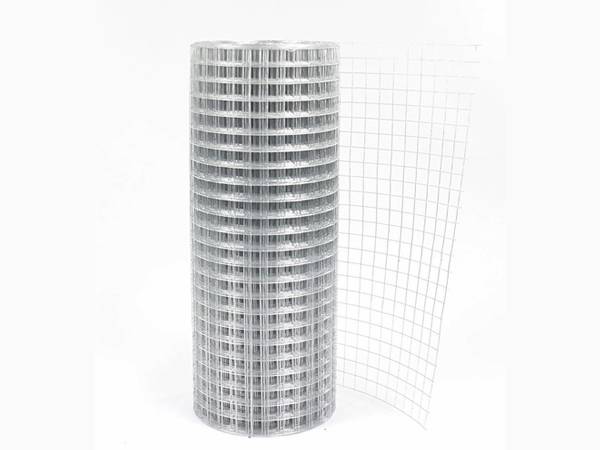 A roll of galvanized welded wire mesh roll.