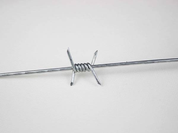 A line of single strand barbed wire on white background.